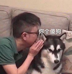 示例图片